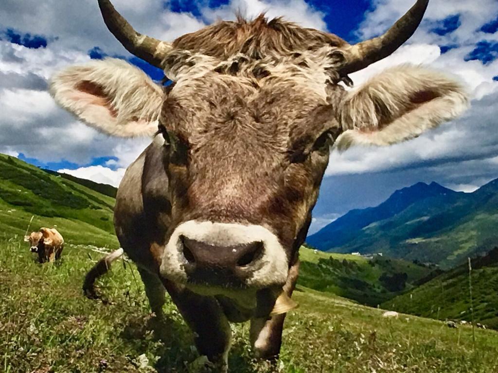 Arlberg Lodges Stuben am Arlberg Bagian luar foto